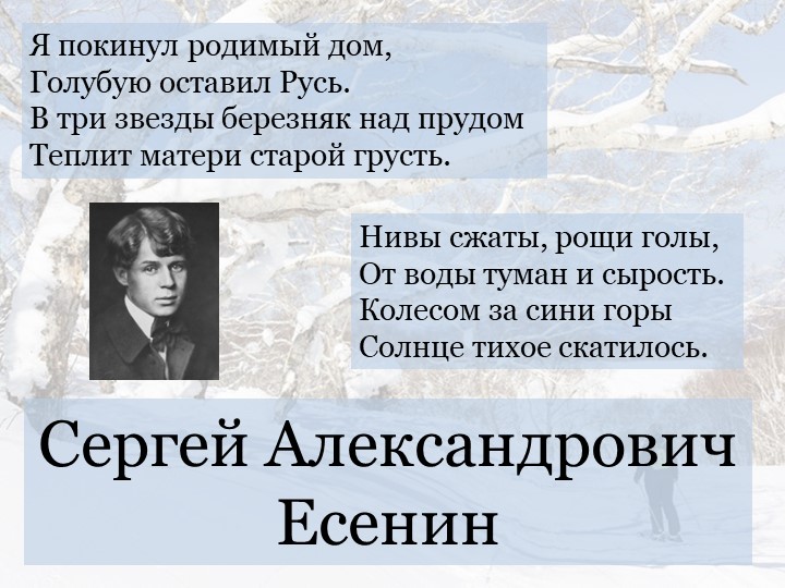 Презентация "С. Есенин "Берёза"  - Скачать презентации бесплатно | Читать или скачать учебники для школы онлайн бесплатно ☑ Школьные учебники school-textbook.com