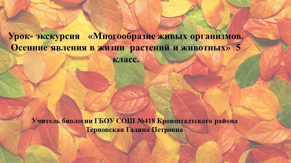 Урок-экскурсия " Многообразие живых организмов. Осенние явления в жизни растений и животных" 5 класс  - Скачать презентации бесплатно | Читать или скачать учебники для школы онлайн бесплатно ☑ Школьные учебники school-textbook.com