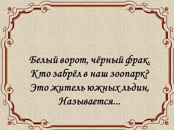 Презентация к уроку на тему "Пингвин" - Скачать презентации бесплатно | Читать или скачать учебники для школы онлайн бесплатно ☑ Школьные учебники school-textbook.com