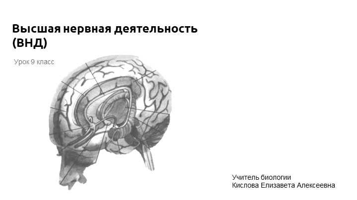 Презентация к уроку: "Высшая нервная деятельность" (9 класс) - Скачать презентации бесплатно | Читать или скачать учебники для школы онлайн бесплатно ☑ Школьные учебники school-textbook.com