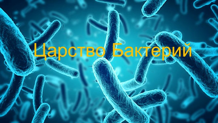 Презентация - "Царство Бактерий".  - Скачать презентации бесплатно | Читать или скачать учебники для школы онлайн бесплатно ☑ Школьные учебники school-textbook.com