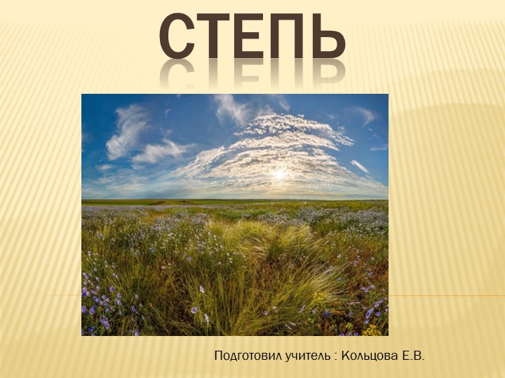 Презентация по окружающему миру "Степь" (4 класс) - Скачать презентации бесплатно | Читать или скачать учебники для школы онлайн бесплатно ☑ Школьные учебники school-textbook.com