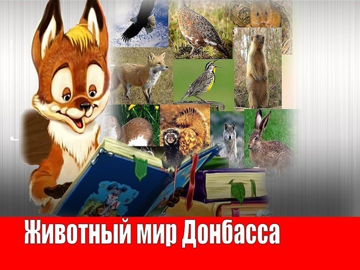 Презентация на тему "Животный мир Донбасса"  - Скачать презентации бесплатно | Читать или скачать учебники для школы онлайн бесплатно ☑ Школьные учебники school-textbook.com