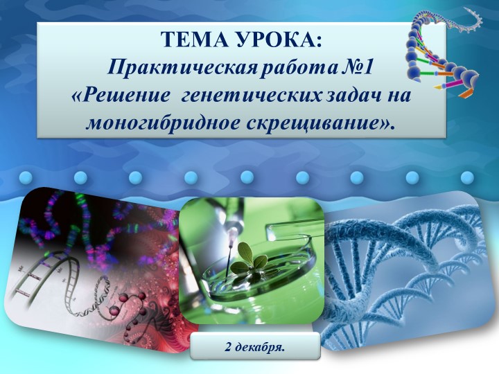 Презентация Практическая работа «Решение генетических задач на моногибридное скрещивание». - Скачать презентации бесплатно | Читать или скачать учебники для школы онлайн бесплатно ☑ Школьные учебники school-textbook.com