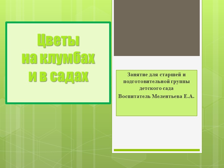 Презентация "Цветы на клумбах и в садах" - Скачать презентации бесплатно | Читать или скачать учебники для школы онлайн бесплатно ☑ Школьные учебники school-textbook.com