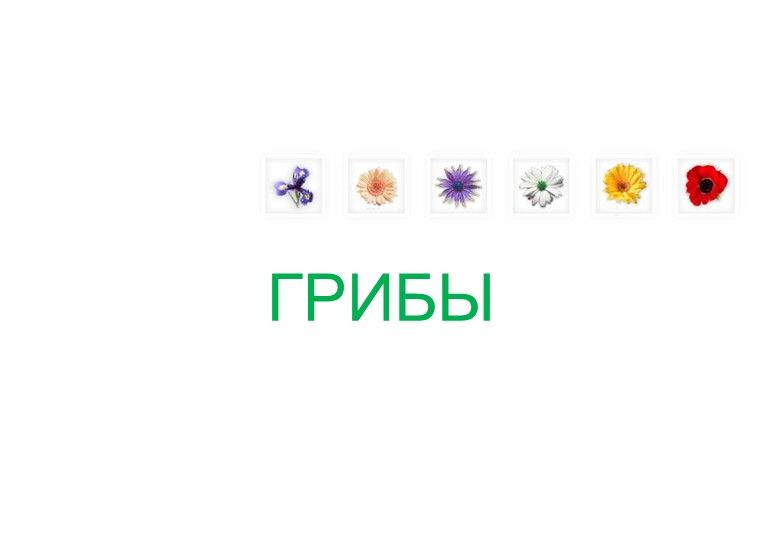 Презентация по биологии на тему "Грибы" (5 класс) - Скачать презентации бесплатно | Читать или скачать учебники для школы онлайн бесплатно ☑ Школьные учебники school-textbook.com
