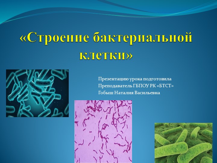 Презентация к уроку "Бактерии"  - Скачать презентации бесплатно | Читать или скачать учебники для школы онлайн бесплатно ☑ Школьные учебники school-textbook.com