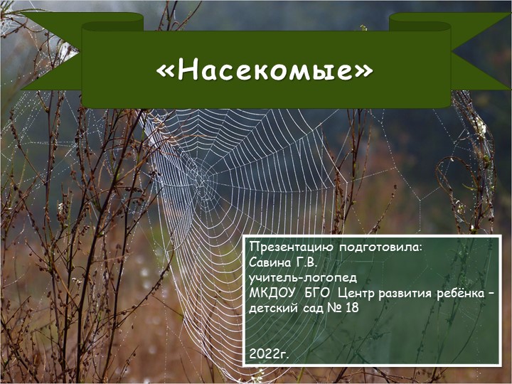 Презентация по лексической теме "Насекомые" для подготовительной логопедической группы  - Скачать презентации бесплатно | Читать или скачать учебники для школы онлайн бесплатно ☑ Школьные учебники school-textbook.com