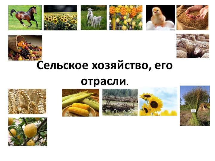 Презентация по географии на тему "Сельское хозяйство, его отрасли" (7 класс) ОВЗ - Скачать презентации бесплатно | Читать или скачать учебники для школы онлайн бесплатно ☑ Школьные учебники school-textbook.com
