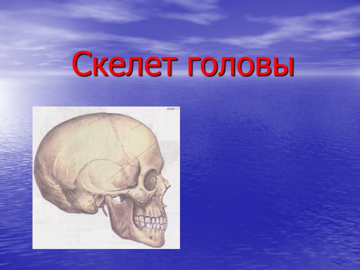 Презентация по биологии на тему "Скелет головы" ОВЗ (9 класс)  - Скачать презентации бесплатно | Читать или скачать учебники для школы онлайн бесплатно ☑ Школьные учебники school-textbook.com