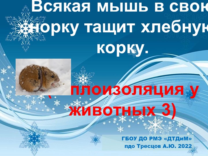 Презентация по биологии на тему "Теплоизоляция у животных 3" (7 класс или 9 класс) - Скачать презентации бесплатно | Читать или скачать учебники для школы онлайн бесплатно ☑ Школьные учебники school-textbook.com