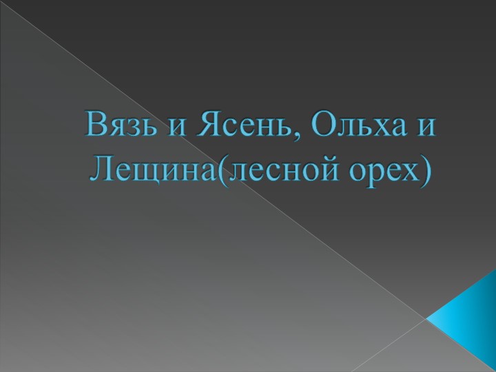 Презентация "Вязь и Ясень, Ольха и Лещина(лесной орех)" - Скачать презентации бесплатно | Читать или скачать учебники для школы онлайн бесплатно ☑ Школьные учебники school-textbook.com