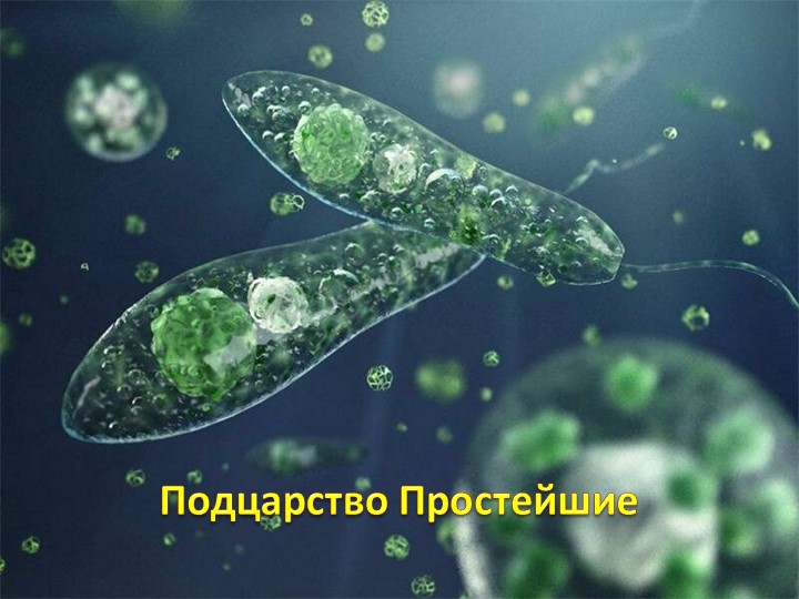 Презентация для занятия в д/о "Юные друзья природы" на тему "Простейшие"  - Скачать презентации бесплатно | Читать или скачать учебники для школы онлайн бесплатно ☑ Школьные учебники school-textbook.com