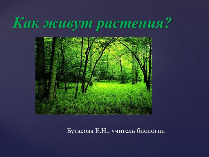 Презентация "Как живут растения?"  - Скачать презентации бесплатно | Читать или скачать учебники для школы онлайн бесплатно ☑ Школьные учебники school-textbook.com