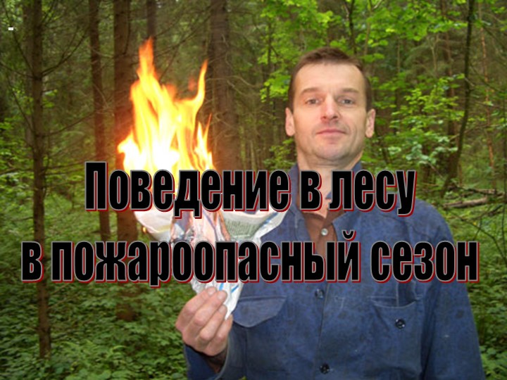 Презентация. Поведение в лесу в пожароопасный сезон. - Скачать презентации бесплатно | Читать или скачать учебники для школы онлайн бесплатно ☑ Школьные учебники school-textbook.com
