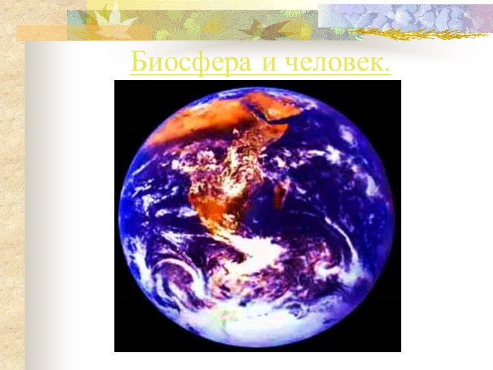 Презентация. Биосфера и человек. - Скачать презентации бесплатно | Читать или скачать учебники для школы онлайн бесплатно ☑ Школьные учебники school-textbook.com
