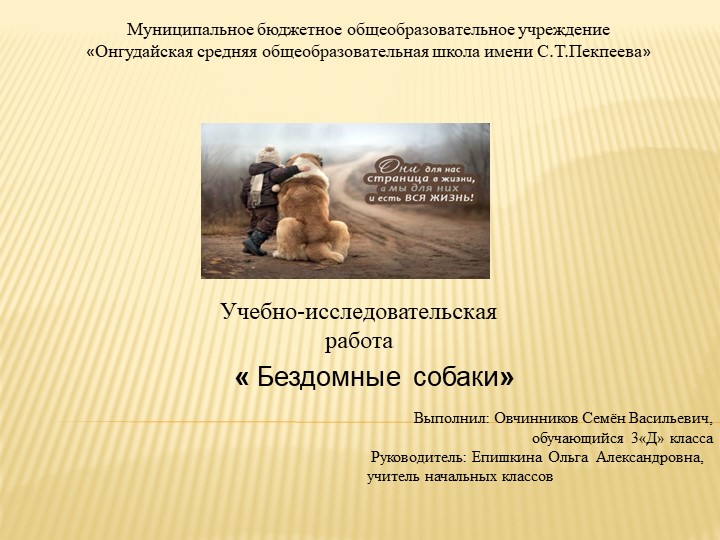 Презентация к поисково- исследовательской работе младших школьников "Бездомные собаки"  - Скачать презентации бесплатно | Читать или скачать учебники для школы онлайн бесплатно ☑ Школьные учебники school-textbook.com