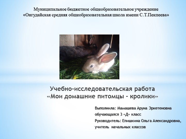 Презентация к поисково- исследовательской работе младших школьников "Мои домашние питомцы- кролики"  - Скачать презентации бесплатно | Читать или скачать учебники для школы онлайн бесплатно ☑ Школьные учебники school-textbook.com