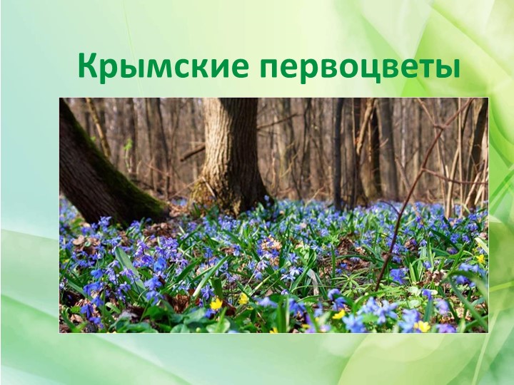 Презентация к внеклассному мероприятию "Крымские первоцветы"  - Скачать презентации бесплатно | Читать или скачать учебники для школы онлайн бесплатно ☑ Школьные учебники school-textbook.com