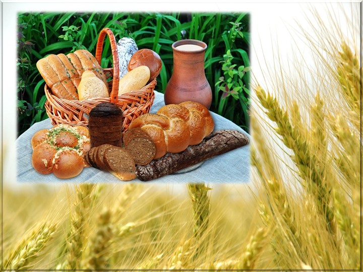 Презентация: "Хлеб - дар Земли" - Скачать презентации бесплатно | Читать или скачать учебники для школы онлайн бесплатно ☑ Школьные учебники school-textbook.com