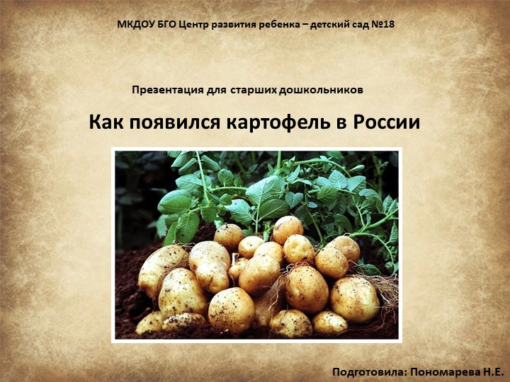 Презентация для старших дошкольников "Как появился картофель в России" - Скачать презентации бесплатно | Читать или скачать учебники для школы онлайн бесплатно ☑ Школьные учебники school-textbook.com