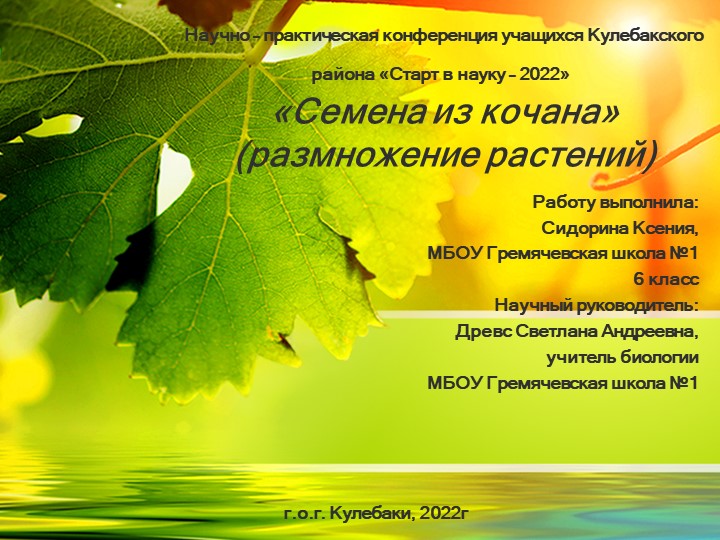 Исследовательская работа "Семена из кочана" - Скачать презентации бесплатно | Читать или скачать учебники для школы онлайн бесплатно ☑ Школьные учебники school-textbook.com