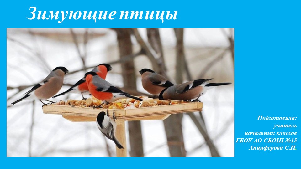 Презентация к уроку мир природы и человека на тему: "Зимующие птицы" (3 класс)  - Скачать презентации бесплатно | Читать или скачать учебники для школы онлайн бесплатно ☑ Школьные учебники school-textbook.com