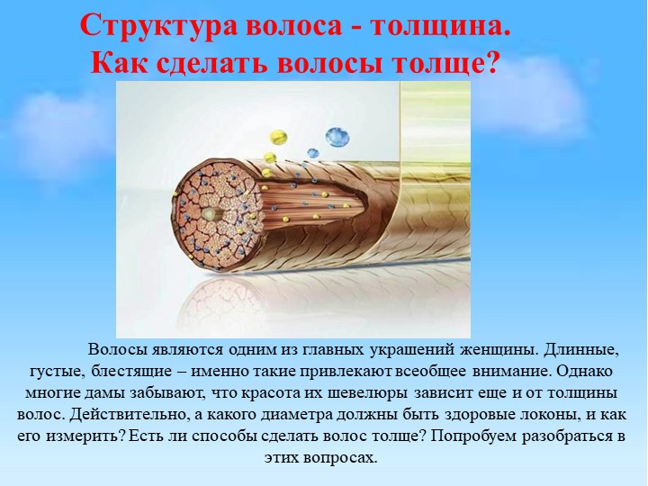 Интегрированный урок на тему "Структура волоса - толщина" - Скачать презентации бесплатно | Читать или скачать учебники для школы онлайн бесплатно ☑ Школьные учебники school-textbook.com