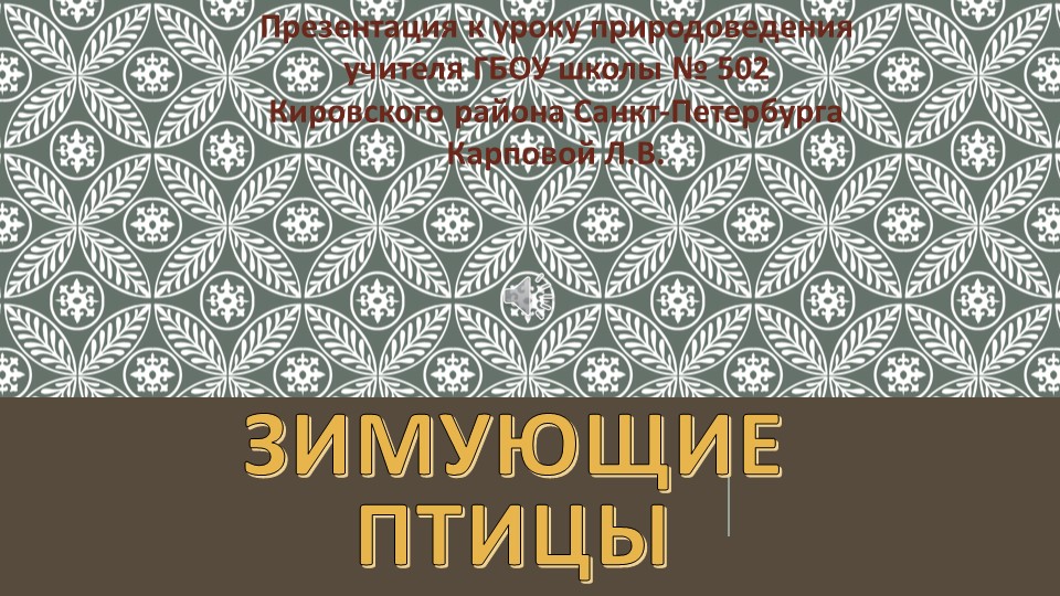 Презентация по природоведению на тему "Зимующие птицы" (5 класс) - Скачать презентации бесплатно | Читать или скачать учебники для школы онлайн бесплатно ☑ Школьные учебники school-textbook.com