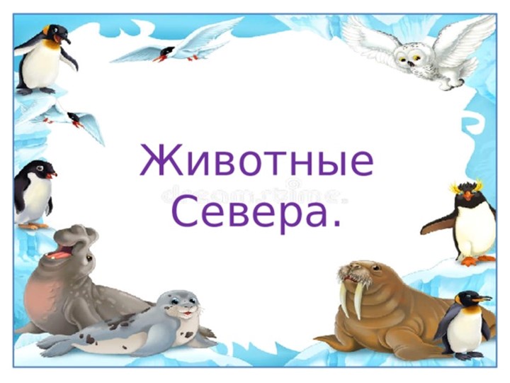 Презентация в старшей группе "Животные севера"  - Скачать презентации бесплатно | Читать или скачать учебники для школы онлайн бесплатно ☑ Школьные учебники school-textbook.com