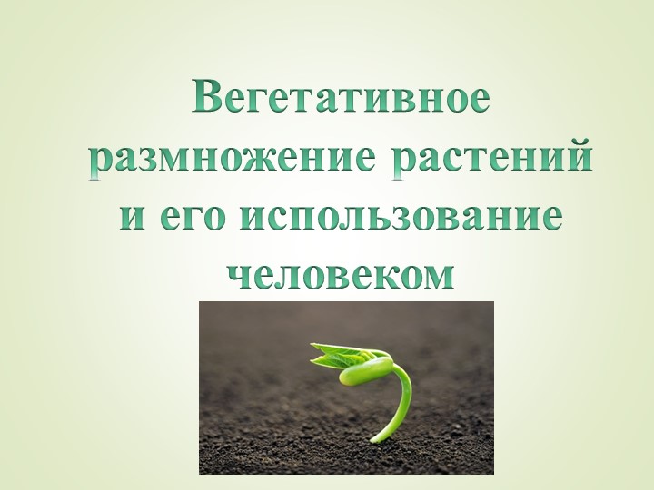 Вегетативное размножение растений и его использование человеком. - Скачать презентации бесплатно | Читать или скачать учебники для школы онлайн бесплатно ☑ Школьные учебники school-textbook.com