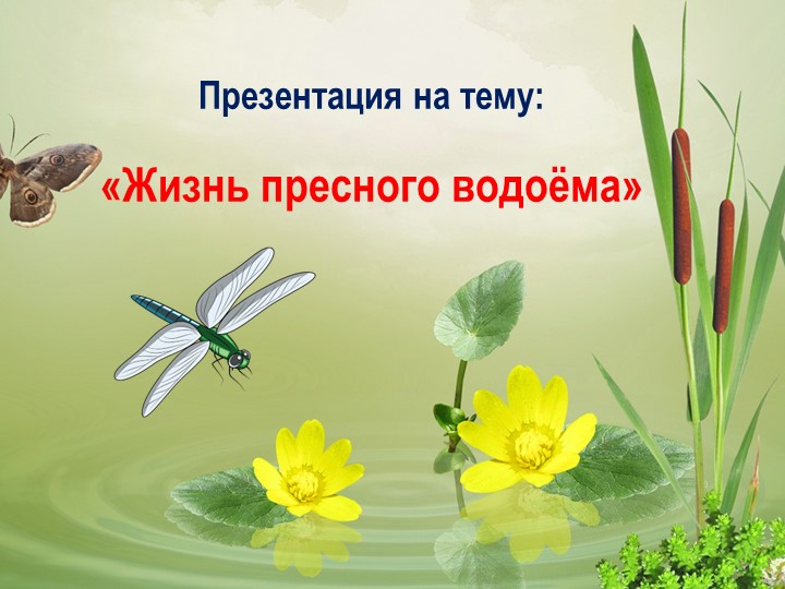 Презентация на тему "Жизни пресного водоёма"  - Скачать презентации бесплатно | Читать или скачать учебники для школы онлайн бесплатно ☑ Школьные учебники school-textbook.com