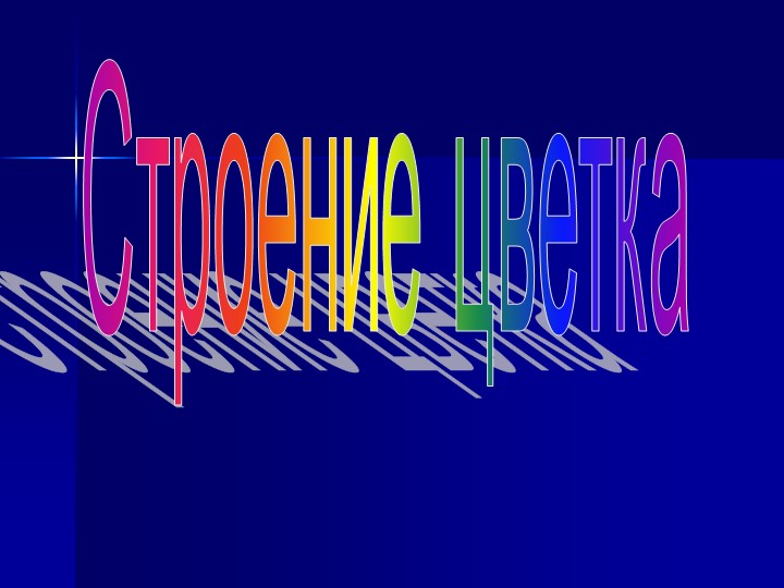 Презентация к уроку биологии 6 класс "Строение цветка"  - Скачать презентации бесплатно | Читать или скачать учебники для школы онлайн бесплатно ☑ Школьные учебники school-textbook.com