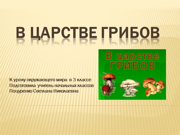 Презентация к уроку окружающего мира на тему "В царстве грибов" (3 класс)  - Скачать презентации бесплатно | Читать или скачать учебники для школы онлайн бесплатно ☑ Школьные учебники school-textbook.com