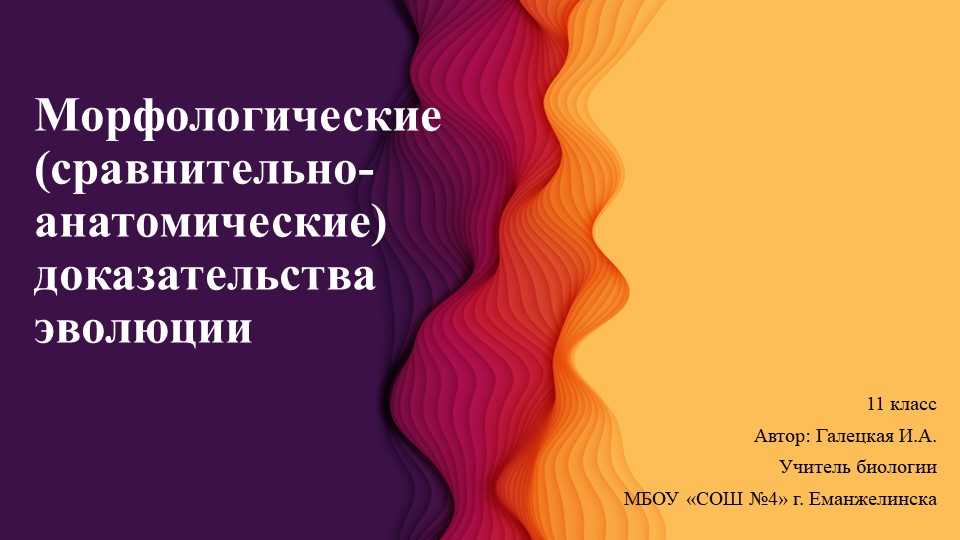 Презентация по биологии на тему "Морфологические доказательства эволюции" - Скачать презентации бесплатно | Читать или скачать учебники для школы онлайн бесплатно ☑ Школьные учебники school-textbook.com