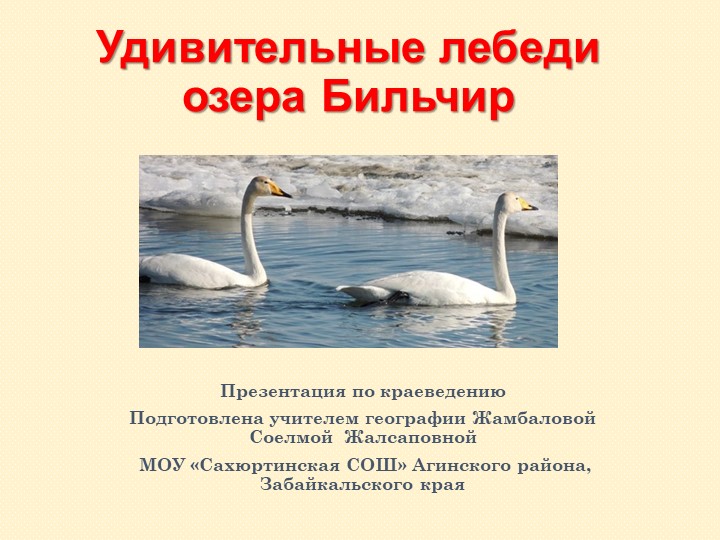 Презентация к уроку "Удивительные лебеди нашего озера" - Скачать презентации бесплатно | Читать или скачать учебники для школы онлайн бесплатно ☑ Школьные учебники school-textbook.com