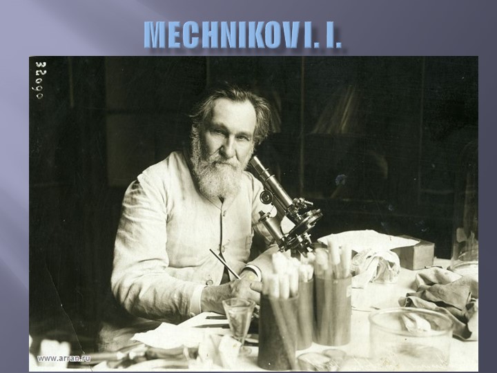 Презентация на тему " Мечников И.И." - Скачать презентации бесплатно | Читать или скачать учебники для школы онлайн бесплатно ☑ Школьные учебники school-textbook.com