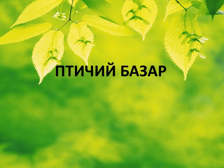 ПРЕЗЕНТАЦИЯ ПО ТЕМЕ "ПТИЦЫ"  - Скачать презентации бесплатно | Читать или скачать учебники для школы онлайн бесплатно ☑ Школьные учебники school-textbook.com