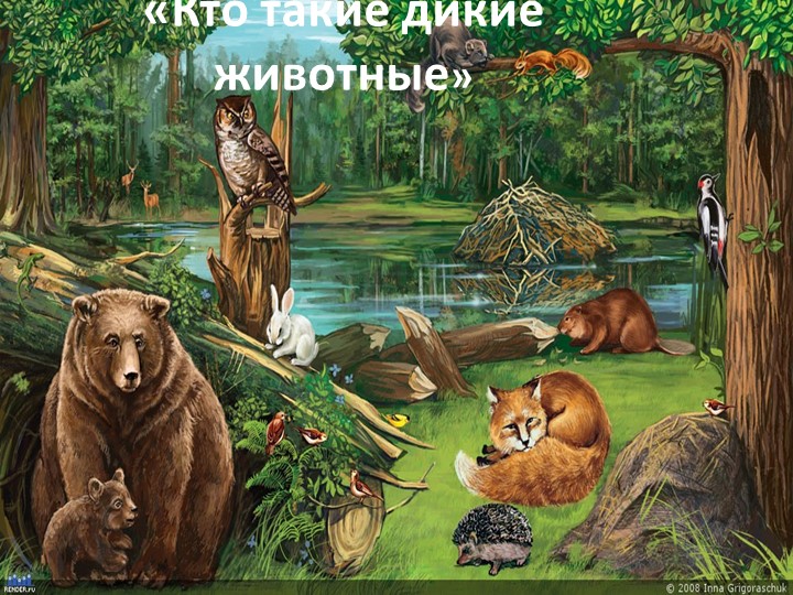 Презентация на тему "Дикие животные" - Скачать презентации бесплатно | Читать или скачать учебники для школы онлайн бесплатно ☑ Школьные учебники school-textbook.com