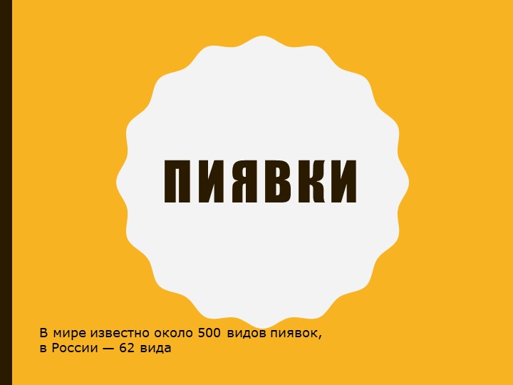 Презентация по биологии 7 класс "Пиявки" - Скачать презентации бесплатно | Читать или скачать учебники для школы онлайн бесплатно ☑ Школьные учебники school-textbook.com