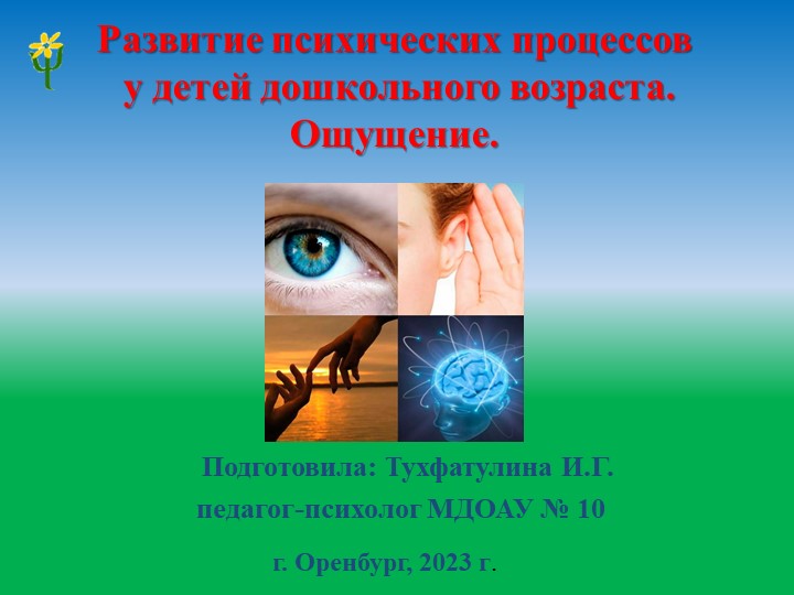 Развитие ощущений у детей - Скачать презентации бесплатно | Читать или скачать учебники для школы онлайн бесплатно ☑ Школьные учебники school-textbook.com