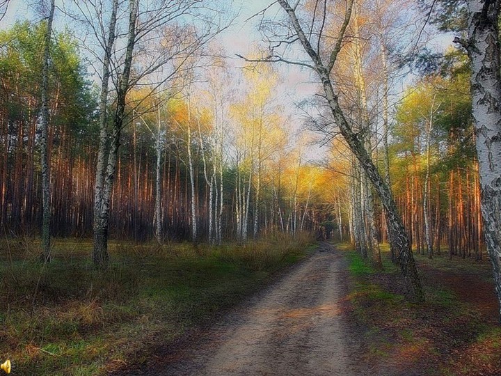 Презентации по английскому языку на тему "Рефлексия" - Скачать презентации бесплатно | Читать или скачать учебники для школы онлайн бесплатно ☑ Школьные учебники school-textbook.com