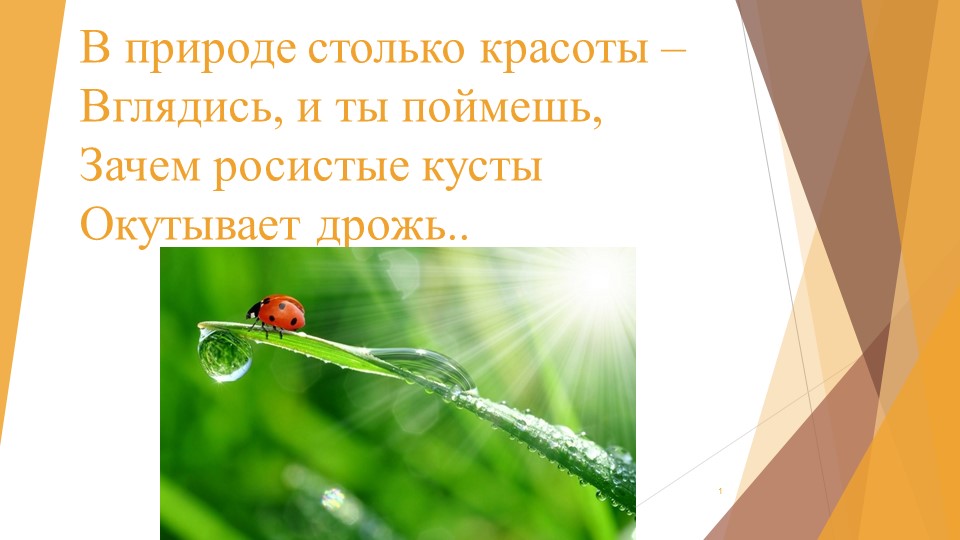 Презентация к уроку биологии в 5 классе "Цартсво Животные" 12 параграф (учебник под ред. Пономаревой И.Н.) - Скачать презентации бесплатно | Читать или скачать учебники для школы онлайн бесплатно ☑ Школьные учебники school-textbook.com