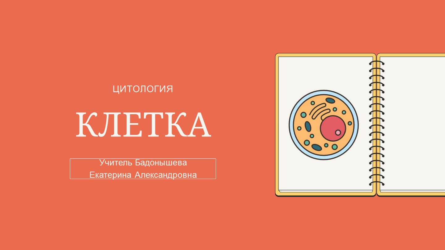 Презентация по теме "Клетка". - Скачать презентации бесплатно | Читать или скачать учебники для школы онлайн бесплатно ☑ Школьные учебники school-textbook.com
