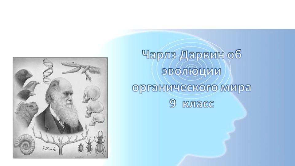 Презентация к уроку " Чарлз Дарвин об эволюции органического мира" - Скачать презентации бесплатно | Читать или скачать учебники для школы онлайн бесплатно ☑ Школьные учебники school-textbook.com