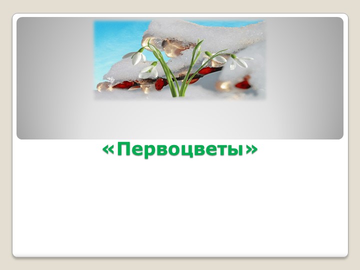 Презентация для детей "Первоцветы" - Скачать презентации бесплатно | Читать или скачать учебники для школы онлайн бесплатно ☑ Школьные учебники school-textbook.com