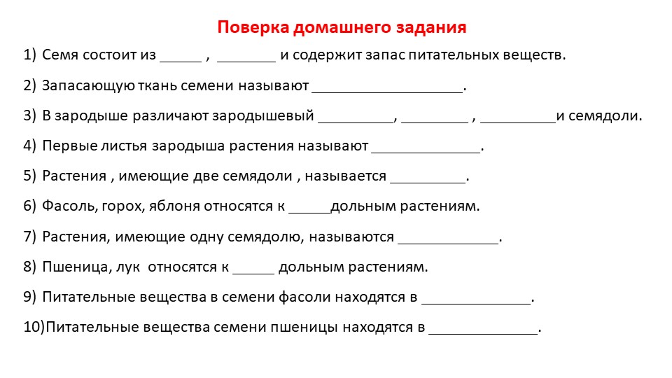 Презентация "Виды корней и типы корневых систем", биология, 6 класс  - Скачать презентации бесплатно | Читать или скачать учебники для школы онлайн бесплатно ☑ Школьные учебники school-textbook.com