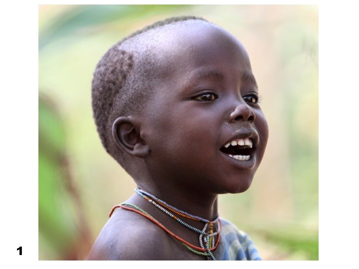 Презентация по теме "Расы" - Скачать презентации бесплатно | Читать или скачать учебники для школы онлайн бесплатно ☑ Школьные учебники school-textbook.com