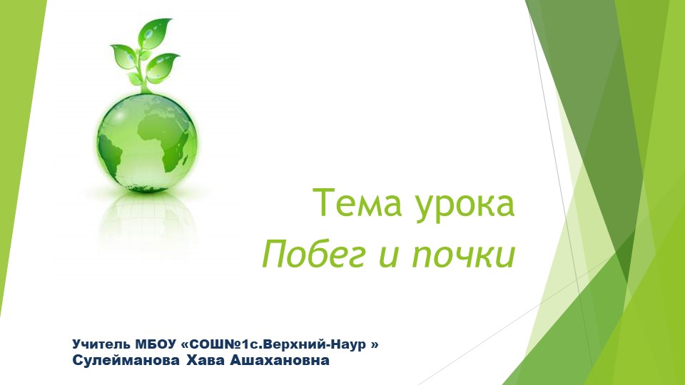 Презентация "Побег и почки".  - Скачать презентации бесплатно | Читать или скачать учебники для школы онлайн бесплатно ☑ Школьные учебники school-textbook.com
