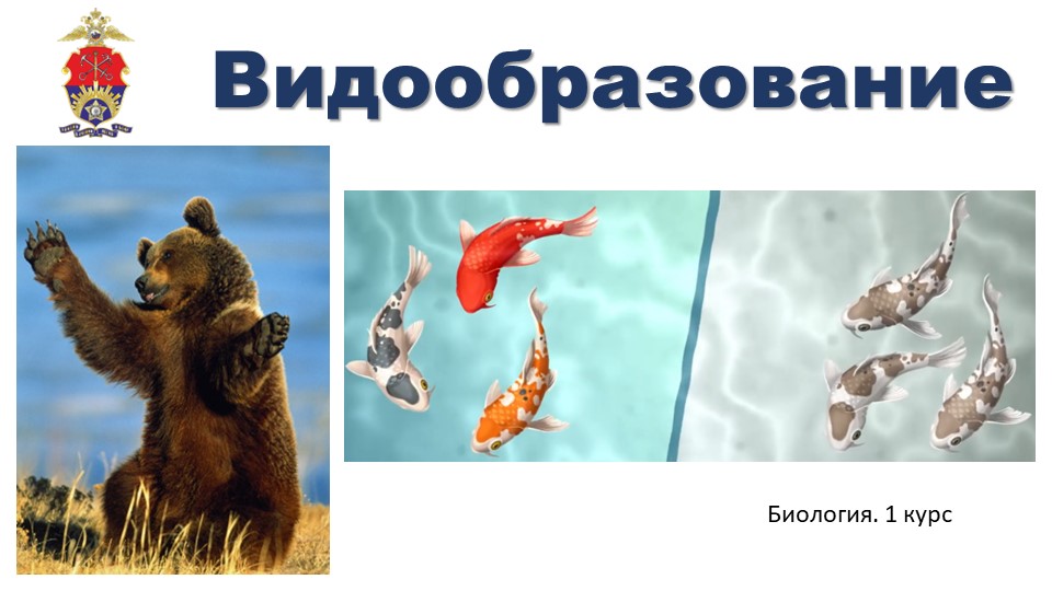 Презентация по биологии на тему "Видообразование" (9 класс) - Скачать презентации бесплатно | Читать или скачать учебники для школы онлайн бесплатно ☑ Школьные учебники school-textbook.com